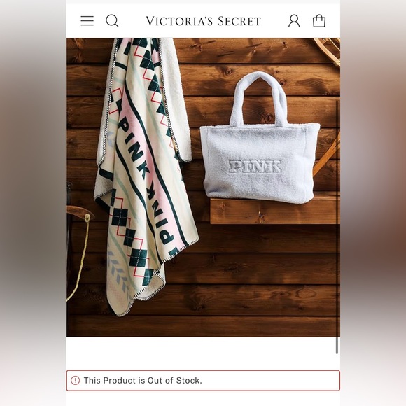 Victoria Secret Plush Teddy Tote and Cozy-Fleece Blanket - Picture 10 of 10